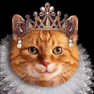 Meet your Posher, Katherine